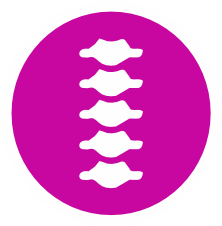 info-icon