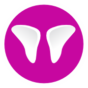 info-icon