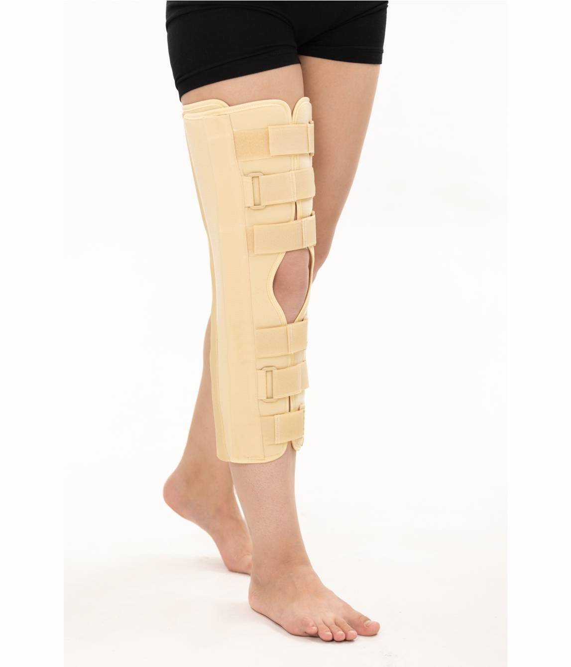 Knee joint tutor