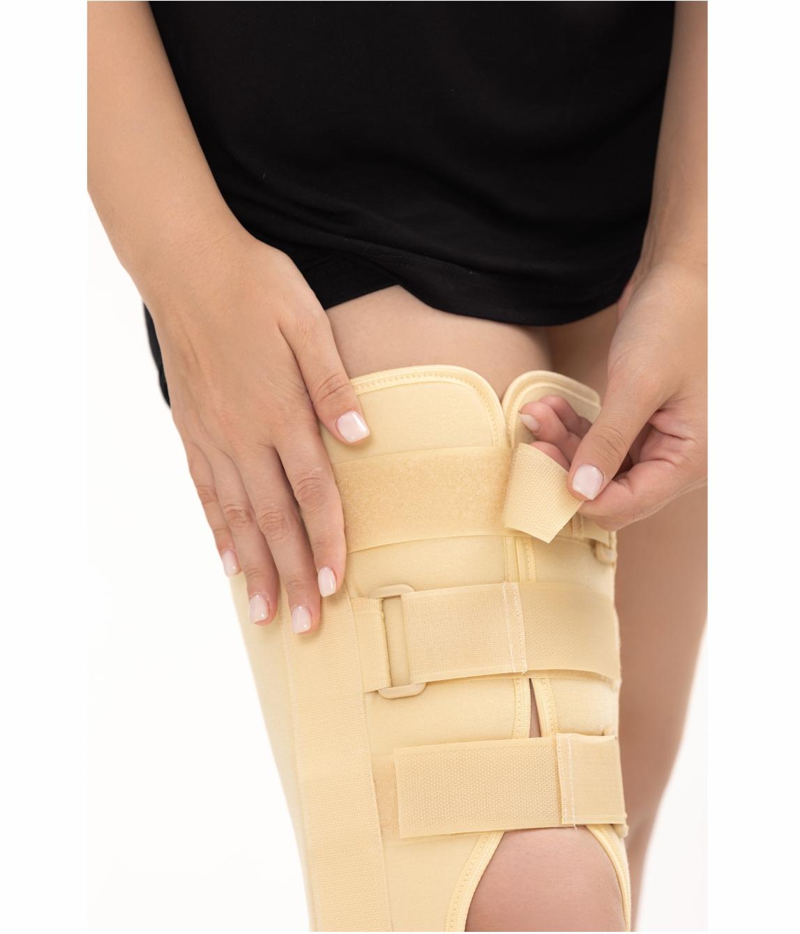 Knee joint tutor